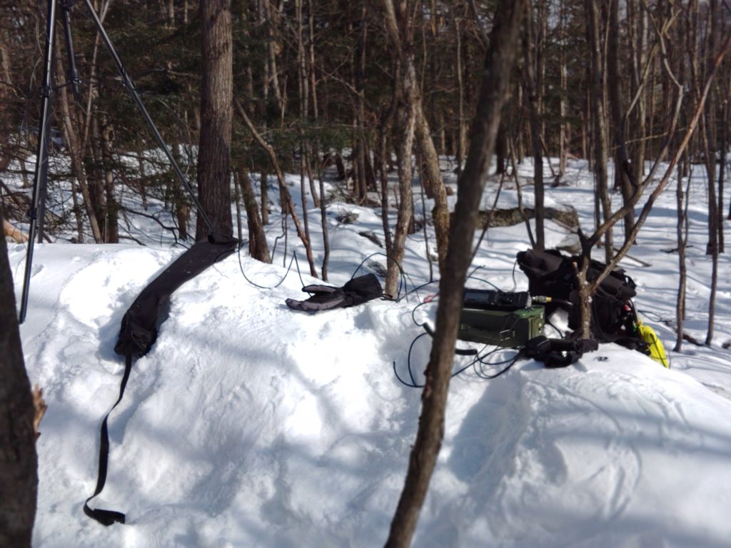 Radio equipment and a glove sitting on top of a snow bank in woods with deciduous trees and brush in the background.